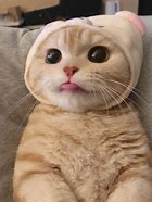 这个方法不仅可以算出电话号码的吉凶,而且可以算QQ号、手机号、甚至车牌号等任何与数字有关系的吉凶。